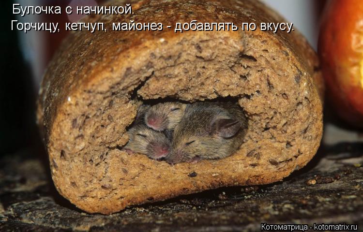 Котоматрица: Булочка с начинкой. Горчицу, кетчуп, майонез - добавлять по вкусу.