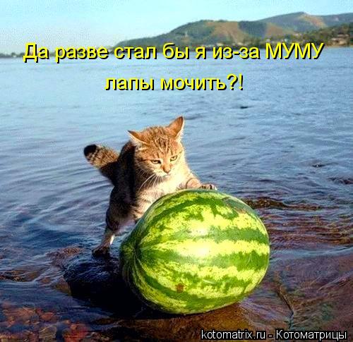 Котоматрица: Да разве стал бы я из-за МУМУ лапы мочить?!