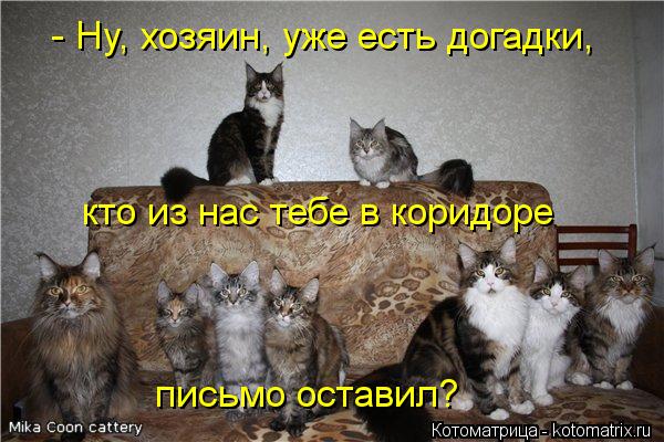 Котоматрица: - Ну, хозяин, уже есть догадки, кто из нас тебе в коридоре письмо оставил?