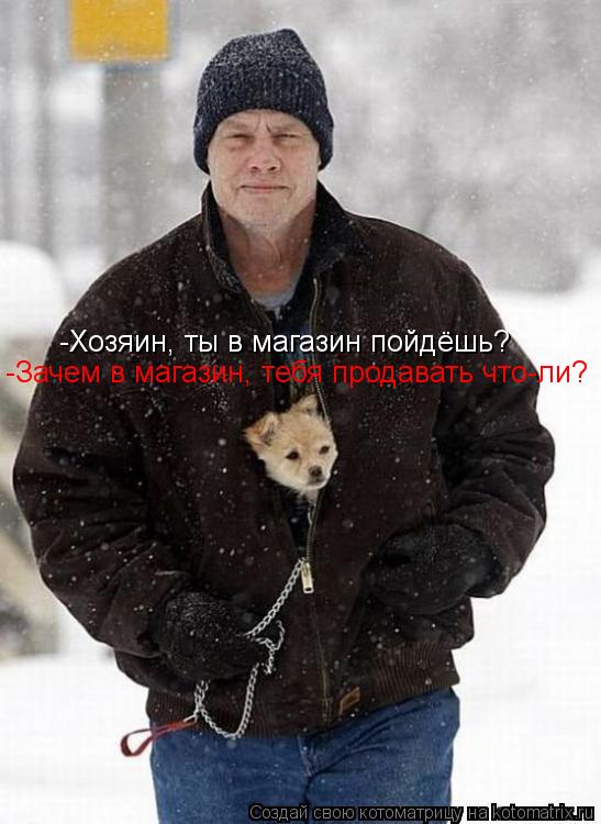 -Хозяин, ты в магазин пойдёшь? -Зачем в магазин, тебя продавать что-ли?... Котоматрица: -Хозяин, ты в магазин пойдёшь? -Зачем в магазин, тебя продавать что-ли?