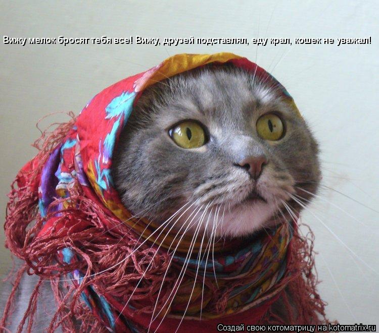 Котоматрица: Вижу мелок бросят тебя все! Вижу, друзей подставлял, еду крал, кошек не уважал!