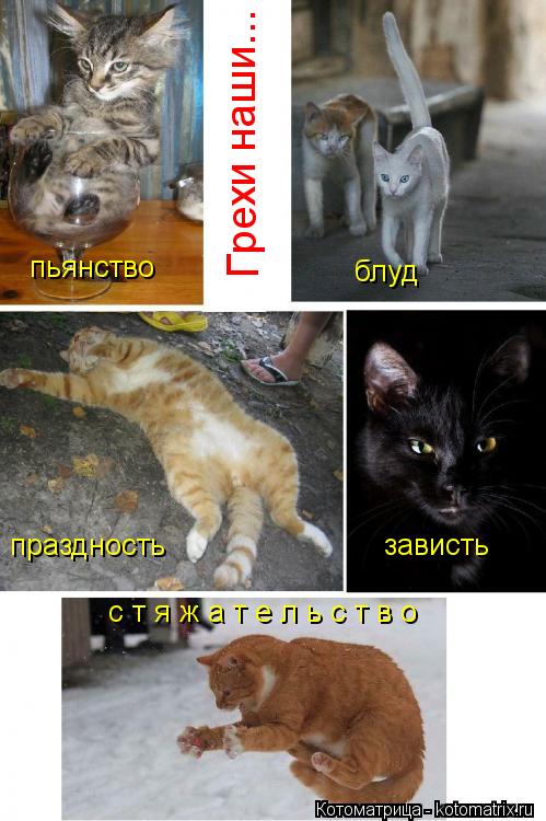 Котоматрица: Грехи наши... праздность                         зависть с т я ж а т е л ь с т в о пьянство блуд