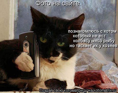 Котоматрица: Фото на сайте. познакомлюсь с котом который не ест колбасу мясо рыбу но таскает их у хозяев
