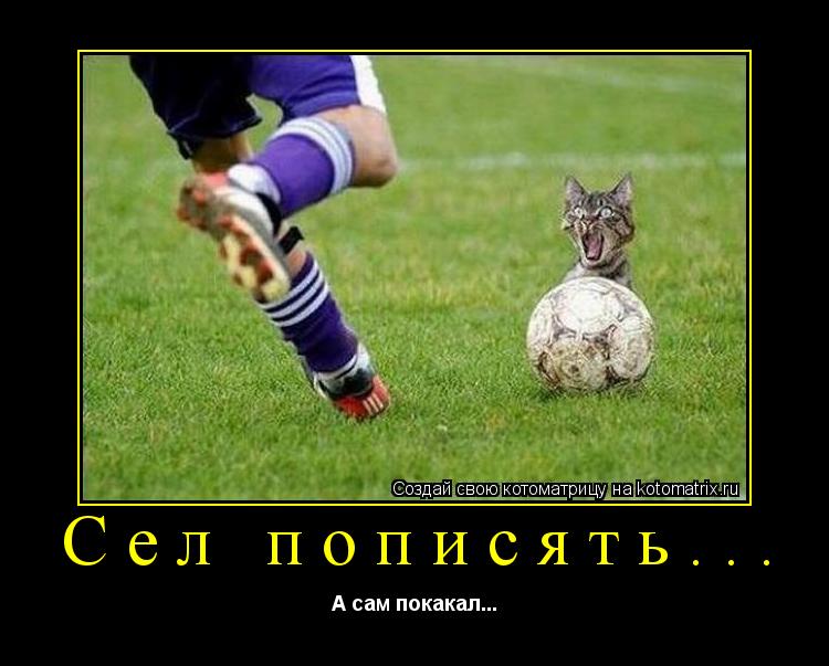Котоматрица: Сел пописять... А сам покакал...