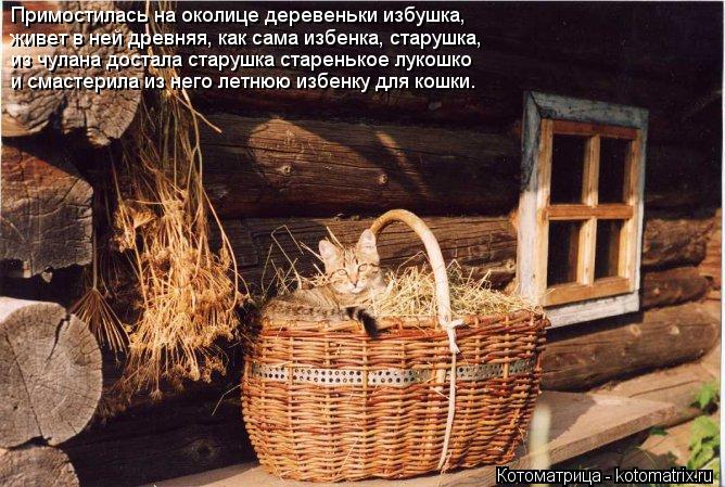 Примостилась на околице деревеньки избушка, живет в ней древняя, как сама избенка, старушка, из чулан... Котоматрица: Примостилась на околице деревеньки избушка, живет в ней древняя, как сама избенка, старушка, из чулана достала старушка старенькое лукошко