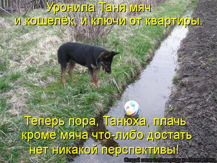 Уронила Таня мяч и кошелёк, и ключи от квартиры. Теперь пора, Танюха, плачь кроме мяча что-либо доста... Котоматрица: Уронила Таня мяч и кошелёк, и ключи от квартиры. Теперь пора, Танюха, плачь кроме мяча что-либо достать нет никакой перспективы!