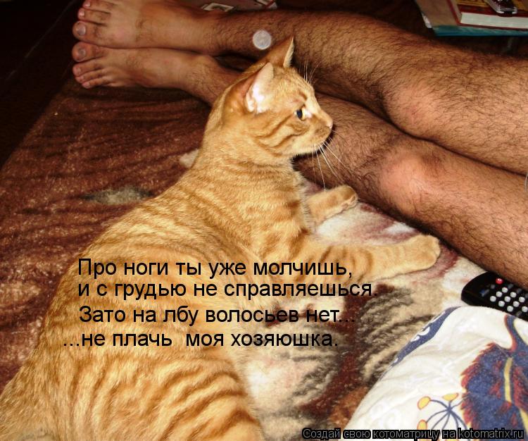 Котоматрица: Про ноги ты уже молчишь, и с грудью не справляешься. Зато на лбу волосьев нет... ...не плачь  моя хозяюшка.
