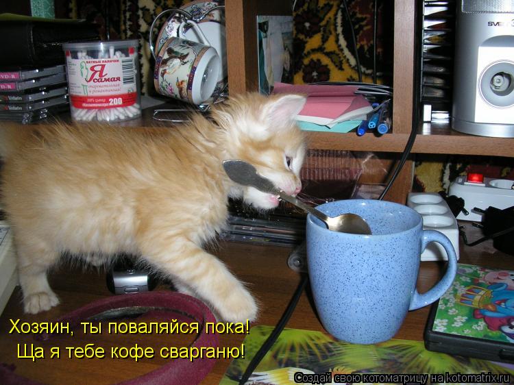 Хозяин, ты поваляйся пока! Ща я тебе кофе сварганю!... Котоматрица: Хозяин, ты поваляйся пока! Ща я тебе кофе сварганю!