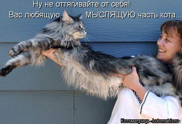 Котоматрица: Ну не оттягивайте от себя! Вас любящую,          МЫСЛЯЩУЮ часть кота...