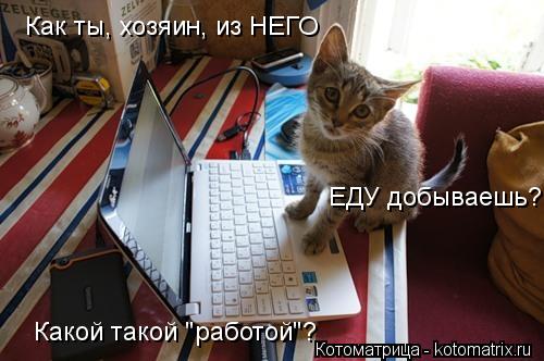 Как ты, хозяин, из НЕГО ЕДУ добываешь?! Какой такой "работой"?... Котоматрица: Как ты, хозяин, из НЕГО ЕДУ добываешь?! Какой такой "работой"?