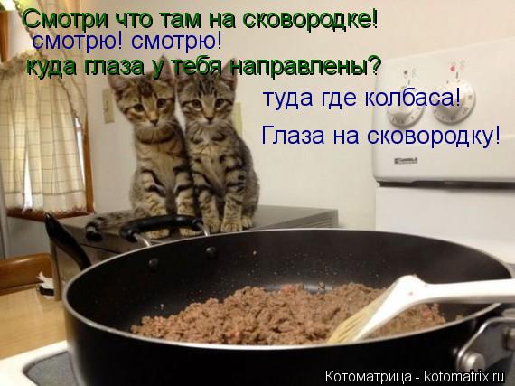 Смотри что там на сковородке! смотрю! смотрю! куда глаза у тебя направлены? туда где колбаса! Глаза н... Котоматрица: Смотри что там на сковородке! смотрю! смотрю! куда глаза у тебя направлены? туда где колбаса! Глаза на сковородку!