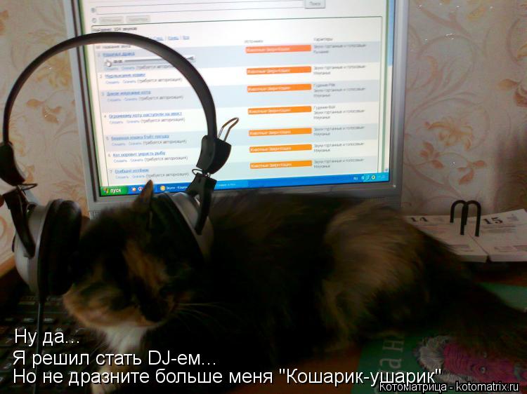 Котоматрица: Ну да... Я решил стать DJ-ем... Но не дразните больше меня "Кошарик-ушарик"