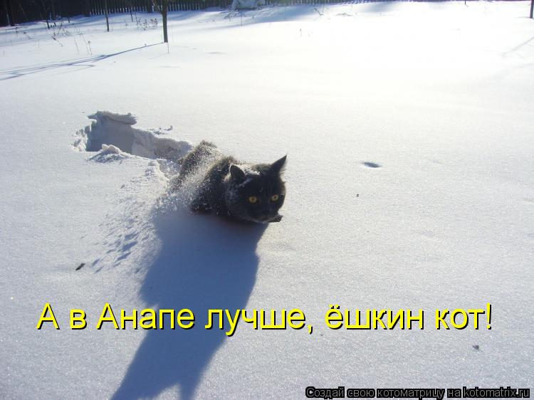 А в Анапе лучше, ёшкин кот!... Котоматрица: А в Анапе лучше, ёшкин кот!