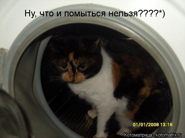 Ну, что и помыться нельзя????*)... Котоматрица: Ну, что и помыться нельзя????*)