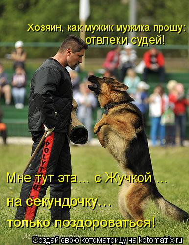 Хозяин, как мужик мужика прошу: отвлеки судей! Мне тут эта… с Жучкой … на секундочку… только п... Котоматрица: Хозяин, как мужик мужика прошу: отвлеки судей! Мне тут эта… с Жучкой … на секундочку… только поздороваться!