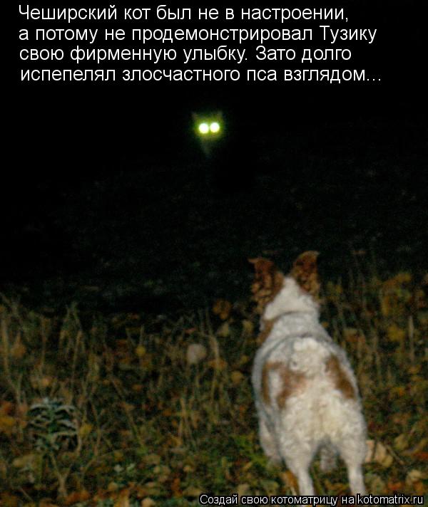 Котоматрица: Чеширский кот был не в настроении, а потому не продемонстрировал Тузику  свою фирменную улыбку. Зато долго испепелял злосчастного пса взгл