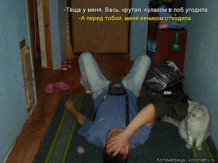 Котоматрица: -Тёща у меня, Вась, крутая, кулаком в лоб угодила. -А перед тобой, меня веником отходила.