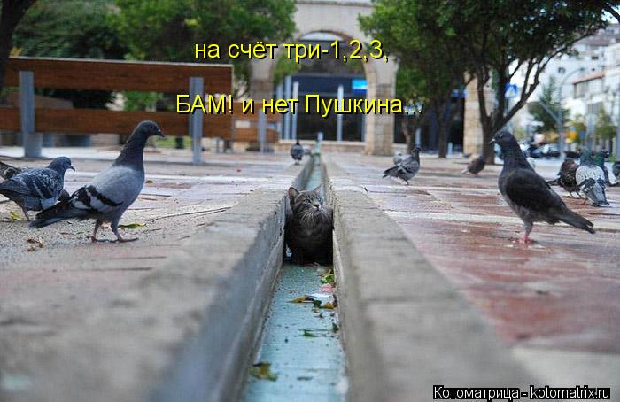 Котоматрица: на счёт три-1,2,3, БАМ! и нет Пушкина...