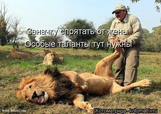 Котоматрица: Заначку спрятать от жены Особые таланты тут нужны