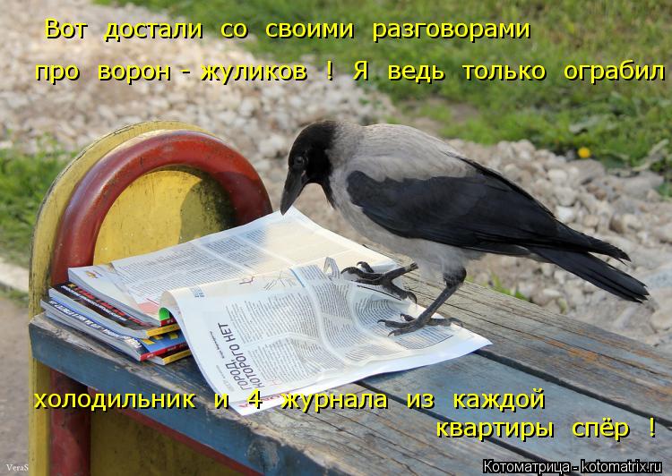 Вот достали со своими разговорами про ворон - жуликов ! Я ведь только ограбил холодильник ... Котоматрица: Вот достали со своими разговорами про ворон - жуликов ! Я ведь только ограбил холодильник и 4 журнала из каждой квартиры спёр !