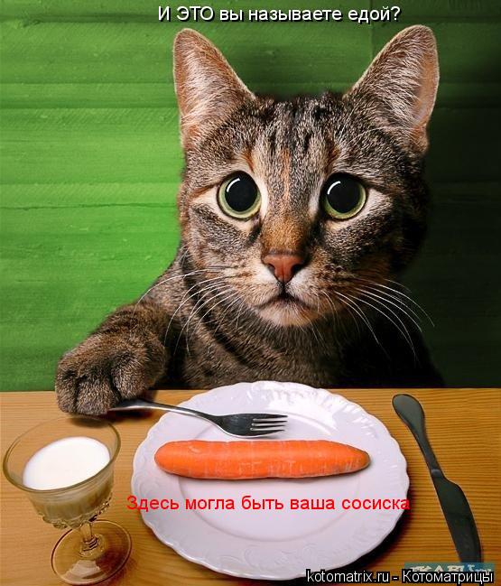И ЭТО вы называете едой? Здесь могла быть ваша сосиска... Котоматрица: И ЭТО вы называете едой? Здесь могла быть ваша сосиска