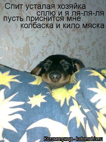 Спит усталая хозяйка сплю и я ля-ля-ля пусть приснится мне колбаска и кило мяска... Котоматрица: Спит усталая хозяйка сплю и я ля-ля-ля пусть приснится мне колбаска и кило мяска