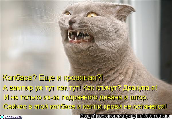 Колбаса? Еще и кровяная?! А вампир уж тут как тут! Как кличут? Дракула я! И не только из-за подранно... Котоматрица: Колбаса? Еще и кровяная?! А вампир уж тут как тут! Как кличут? Дракула я! И не только из-за подранного дивана и штор. Сейчас в этой колбасе и ка