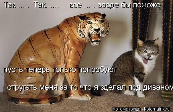 Так...... Так...... всё ..... вроде бы пожоже пусть теперь только попробуют отругать меня за то что ... Котоматрица: Так...... Так...... всё ..... вроде бы пожоже пусть теперь только попробуют отругать меня за то что я зделал под диваном