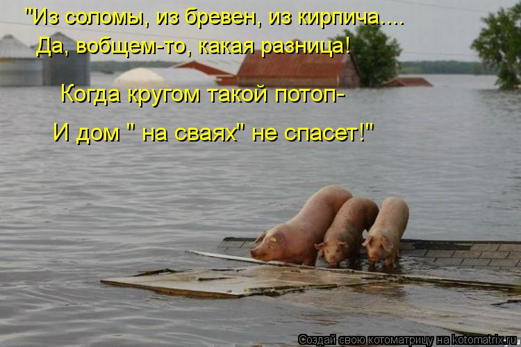 "Из соломы, из бревен, из кирпича.... Да, вобщем-то, какая разница! И дом " на сваях" не спасет!" Ког... Котоматрица: "Из соломы, из бревен, из кирпича.... Да, вобщем-то, какая разница! И дом " на сваях" не спасет!" Когда кругом такой потоп-