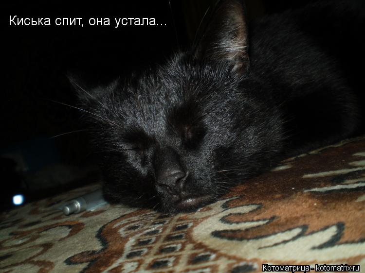 Котоматрица: Киська спит, она устала...