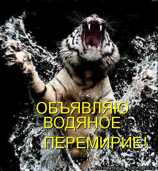 ОБЪЯВЛЯЮ ВОДЯНОЕ ПЕРЕМИРИЕ!... Котоматрица: ОБЪЯВЛЯЮ ВОДЯНОЕ ПЕРЕМИРИЕ!