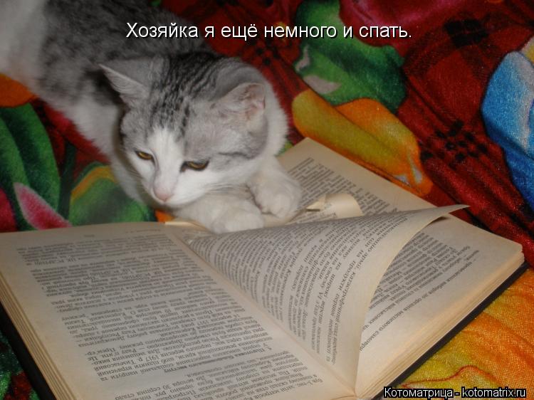 Хозяйка я ещё немного и спать.... Котоматрица: Хозяйка я ещё немного и спать.