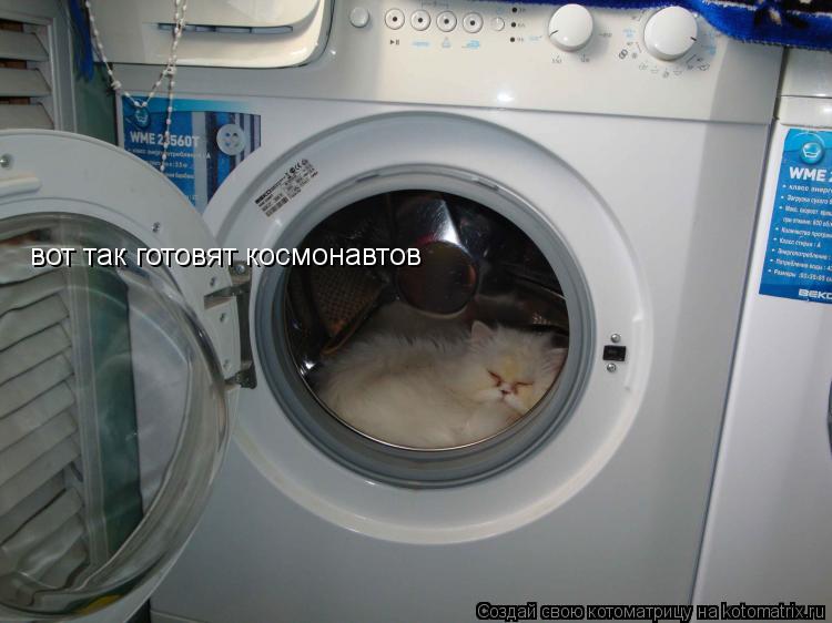 вот так готовят космонавтов... Котоматрица: вот так готовят космонавтов