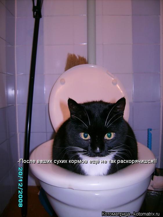 -После ваших сухих кормов ещё не так раскорячишся!!... Котоматрица: -После ваших сухих кормов ещё не так раскорячишся!!