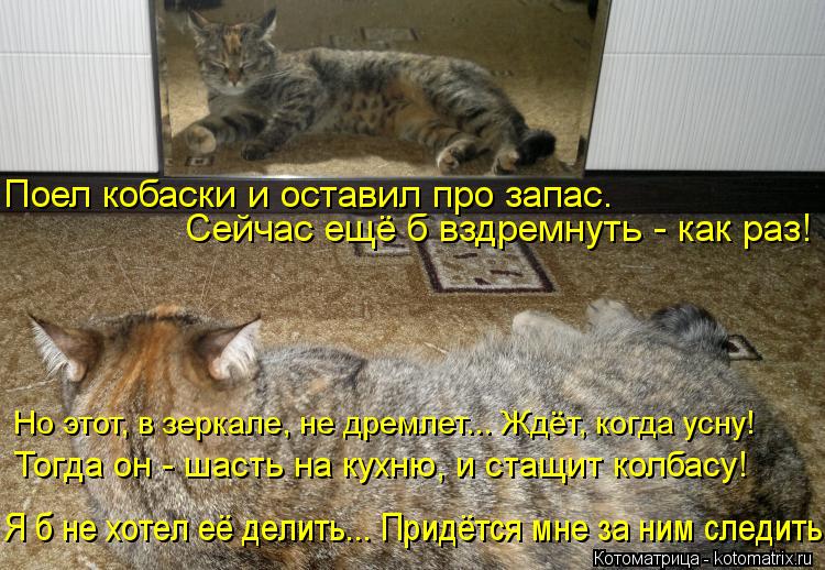Поел кобаски и оставил про запас. Сейчас ещё б вздремнуть - как раз! Но этот, в зеркале, не дремлет.... Котоматрица: Поел кобаски и оставил про запас. Сейчас ещё б вздремнуть - как раз! Но этот, в зеркале, не дремлет... Ждёт, когда усну! Тогда он - шасть на кухню