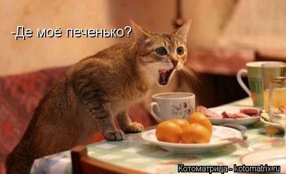 -Де моё печенько?... Котоматрица: -Де моё печенько?