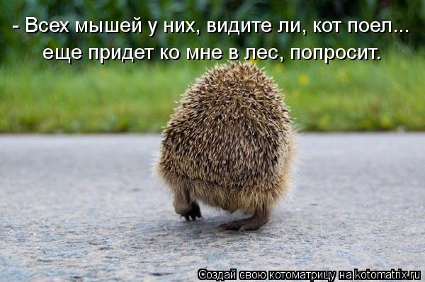 - Всех мышей у них, видите ли, кот поел... еще придет ко мне в лес, попросит.... Котоматрица: - Всех мышей у них, видите ли, кот поел... еще придет ко мне в лес, попросит.