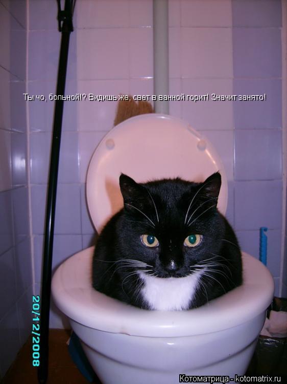 Ты чо, больной!? Видишь же, свет в ванной горит! Значит занято!... Котоматрица: Ты чо, больной!? Видишь же, свет в ванной горит! Значит занято!