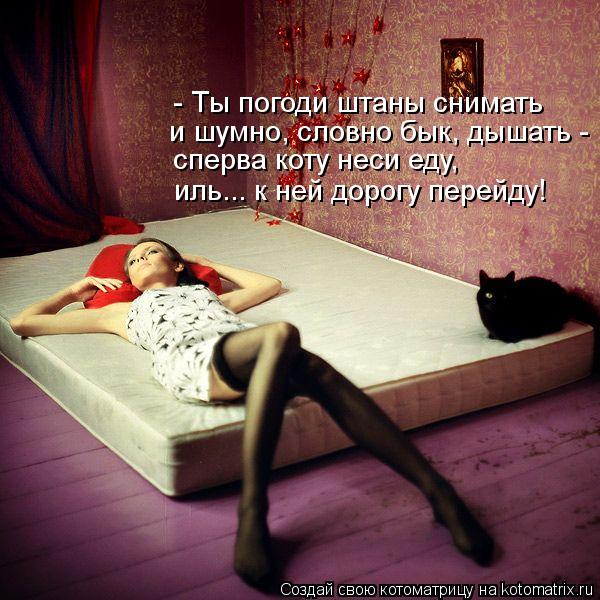 - Ты погоди штаны снимать и шумно, словно бык, дышать - сперва коту неси еду, иль... к ней дорогу пер... Котоматрица: - Ты погоди штаны снимать и шумно, словно бык, дышать - сперва коту неси еду, иль... к ней дорогу перейду!