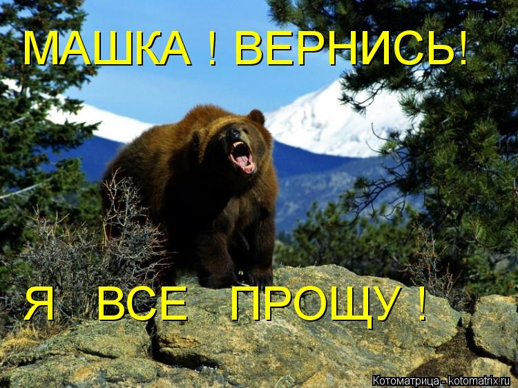 МАШКА ! ВЕРНИСЬ! Я ВСЕ ПРОЩУ !... Котоматрица: МАШКА ! ВЕРНИСЬ! Я ВСЕ ПРОЩУ !