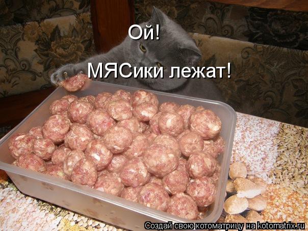 Ой! МЯСики лежат!... Котоматрица: Ой! МЯСики лежат!