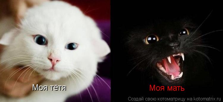 Моя тётя Моя мать... Котоматрица: Моя тётя Моя мать