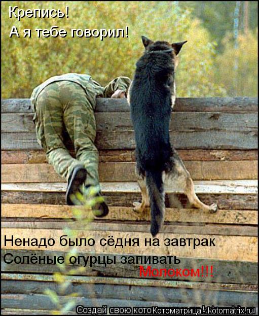 Крепись! А я тебе говорил! Ненадо было сёдня на завтрак Солёные огурцы запивать Молоком!!!... Котоматрица: Крепись! А я тебе говорил! Ненадо было сёдня на завтрак Солёные огурцы запивать Молоком!!!