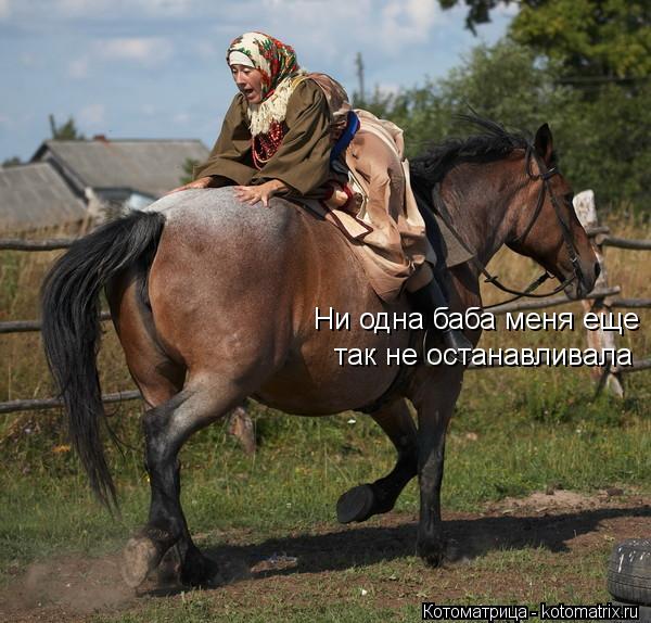 Ни одна баба меня еще так не останавливала... Котоматрица: Ни одна баба меня еще так не останавливала