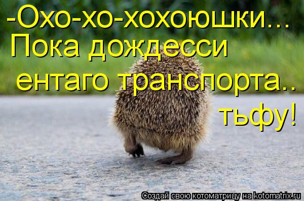 -Охо-хо-хохоюшки... Пока дождесси ентаго транспорта.. тьфу!... Котоматрица: -Охо-хо-хохоюшки... Пока дождесси ентаго транспорта.. тьфу!