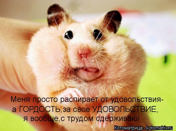 Меня просто распирает от удовольствия- а ГОРДОСТЬ,за свое УДОВОЛЬСТВИЕ, я вообще,с трудом сдерживаю!... Котоматрица: Меня просто распирает от удовольствия- а ГОРДОСТЬ,за свое УДОВОЛЬСТВИЕ, я вообще,с трудом сдерживаю!