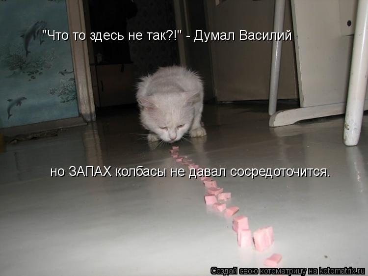 "Что то здесь не так?!" - Думал Василий но ЗАПАХ колбасы не давал сосредоточится.... Котоматрица: "Что то здесь не так?!" - Думал Василий но ЗАПАХ колбасы не давал сосредоточится.