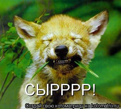 СЫРРРР!... Котоматрица: СЫРРРР!