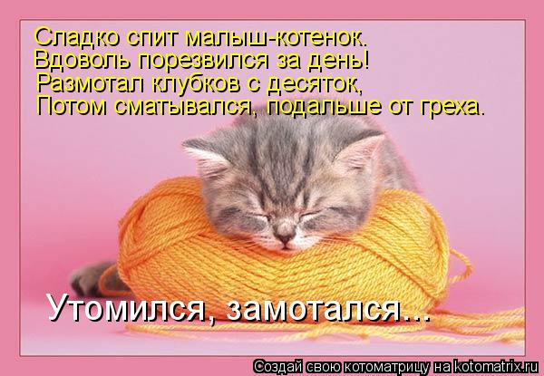 Сладко спит малыш-котенок. Вдоволь порезвился за день! Размотал клубков с десяток, Потом сматывался,... Котоматрица: Сладко спит малыш-котенок. Вдоволь порезвился за день! Размотал клубков с десяток, Потом сматывался, подальше от греха. Утомился, замотался