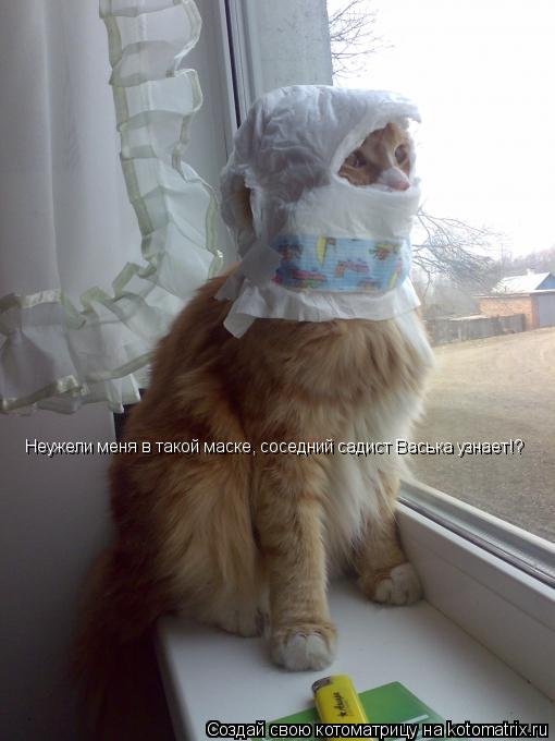 Котоматрица: Неужели меня в такой маске, соседний садист Васька узнает!?